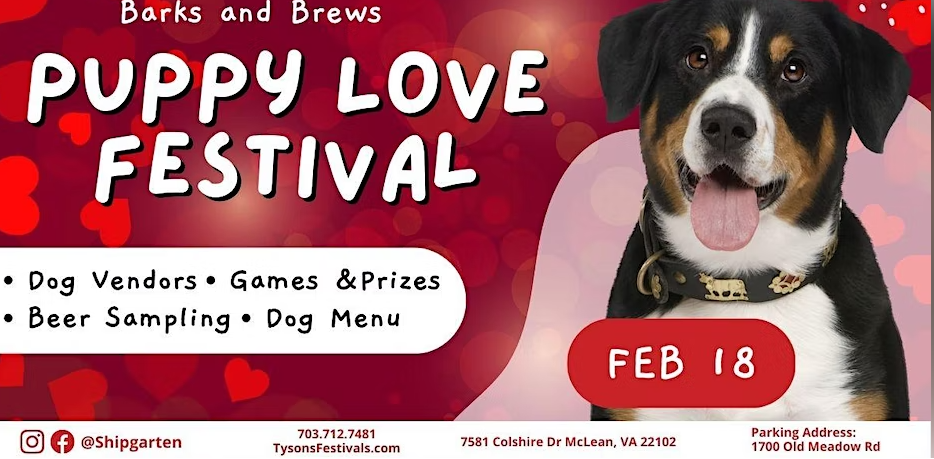 Barks and Brews- Puppy Love Festival Washington United States